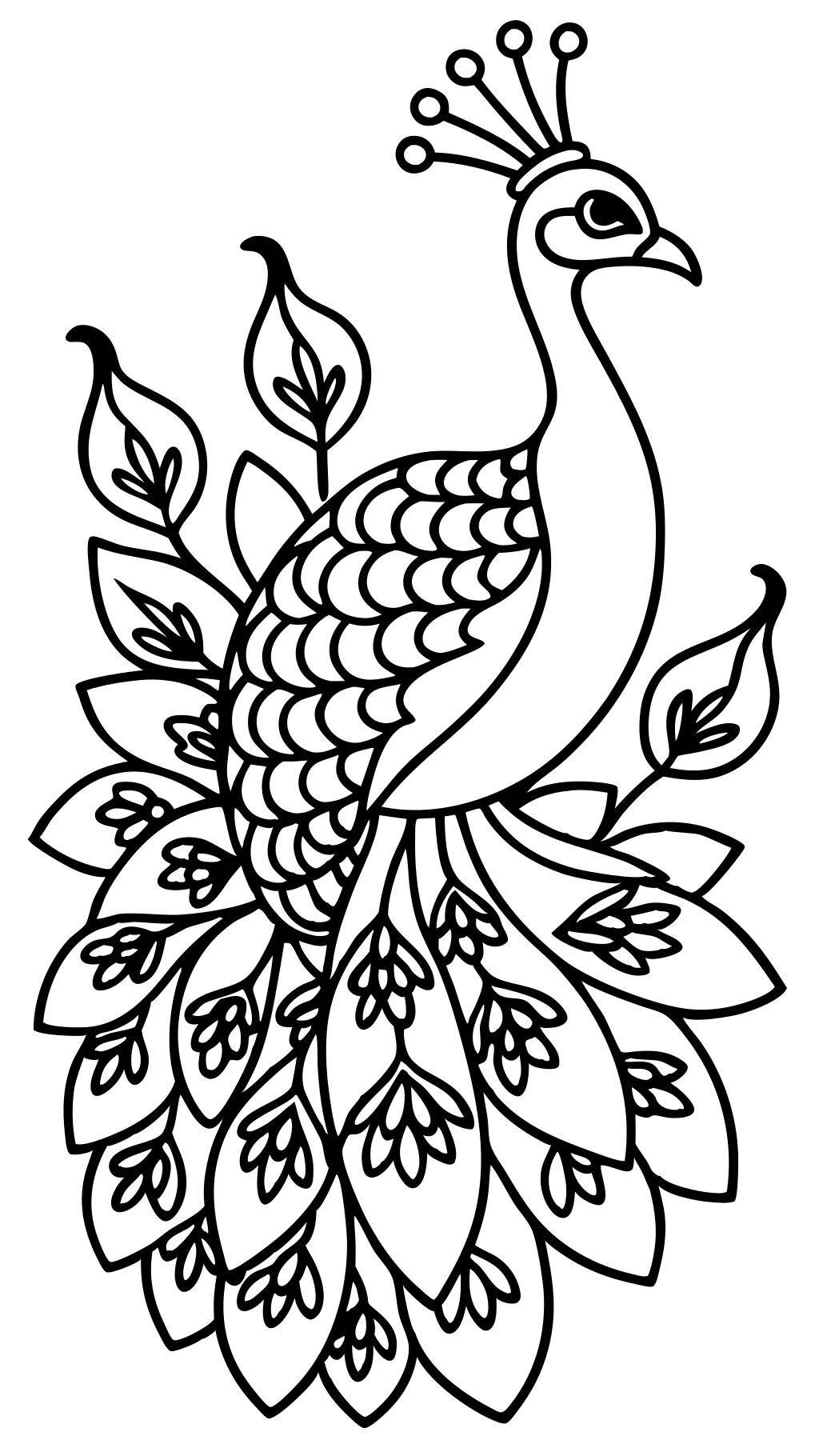 peacock coloring page